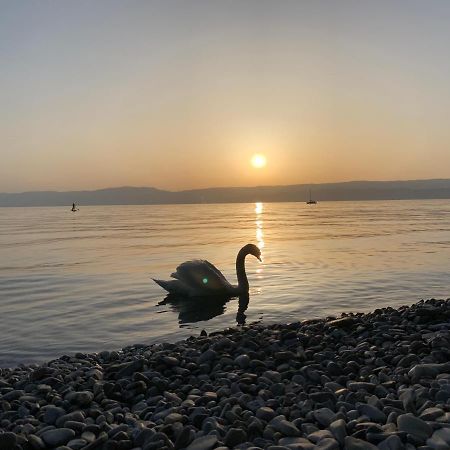 Chez Mat Bed & Breakfast Thonon-les-Bains Eksteriør bilde