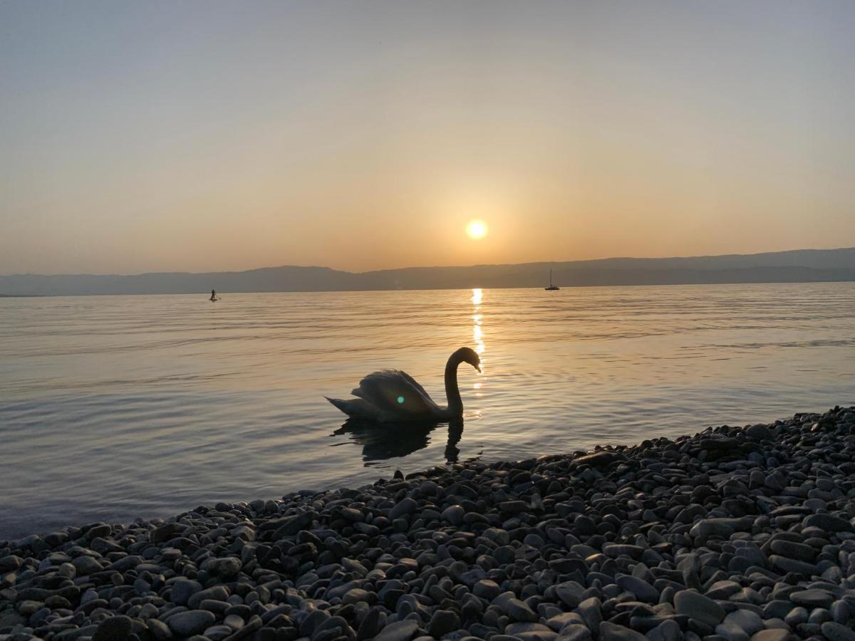 Chez Mat Bed & Breakfast Thonon-les-Bains Eksteriør bilde